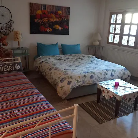 στο πανοραμα Apartament