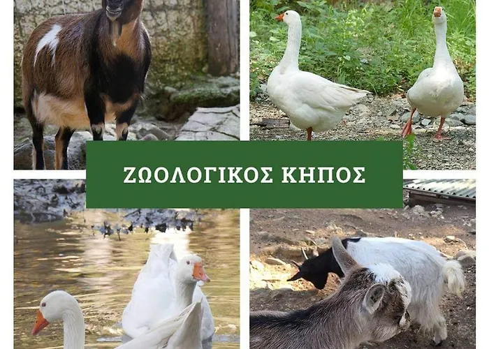 Apartamento στο πανοραμα Tesalónica
