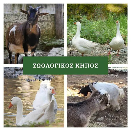 Apartamento στο πανοραμα Tesalónica